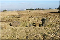 NS4560 : Standing stones at Gleniffer Braes by Lairich Rig
