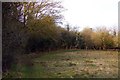 Footpath in Lashford Lane Fen