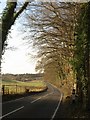 B2033 near Tyrrells Wood