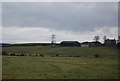 NU1530 : Sheep grazing below Hoppen Farm by N Chadwick