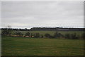NU1926 : Countryside north of Brunton Airfield by N Chadwick