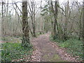 Permissive footpath in West Wood