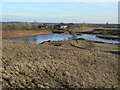 Former quarry at Low Melwood