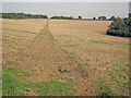 Footpath to Stowe Woods