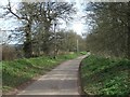 Road passing Broadclyst windmill