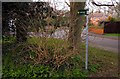 Footpath in Cumnor