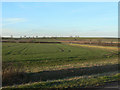 Landscape near East Lound