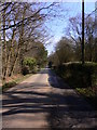 Looking east along Frensham Vale