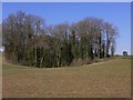 Disused pit north of Pax Hill Care Home