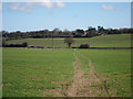 Footpath from Upton Wood Farm