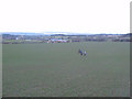 Crossfield footpath from Westerton to the A688