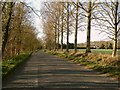 The road to Ousden from Wickhambrook