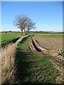 Footpath at Beaumont-cum-Moze