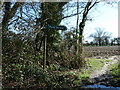 Footpat (sic) sign off Norlington Lane