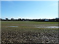 Houses on the northern fringe of Ringmer