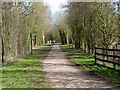 The Cloud Trail near Worthington