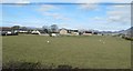 Houses on the western outskirts of Ballymartin