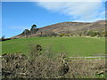 Pastureland between the A2 and Old Road north of George