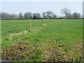 Pasture near Kilmington