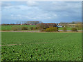 Farmland, Cherhill