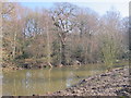 Pond on Hampstead Heath Extension