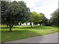 A seat in the shade