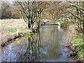 River Wylye, Norton Bavant