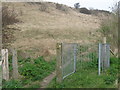 Unused kissing gate on Western Heights