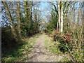 Footpath 53 north of Mill Lane