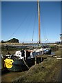 Dutch barge moored at Walton & Frinton Yacht Club