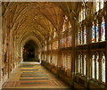 SO8318 : The Cloisters, Gloucester Cathedral by Jonathan Billinger