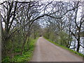 The Thames Path in early spring