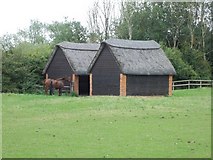 SP2444 : Thatched homes for horses by Michael Dibb