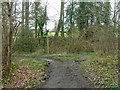 Bridleway junction south of Beare Green