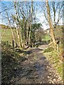 Bridleway from Mynydd Merci