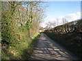 Lane in Willoughton