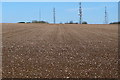 Radio masts at Crabwood