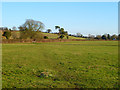 Pasture, St Mary Bourne