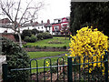 Small park on Antrobus Street