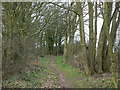 Bridleway near Lambley House