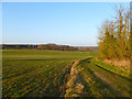 Farmland, Bucklebury