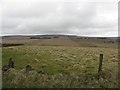 Crosshill Townland