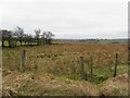 Glenwhirry Townland