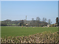 Field near Shutford Manor