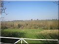 View from back of allotments