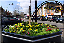 SP8733 : Spring Flowers, Elizabeth Square, Bletchley by Cameraman