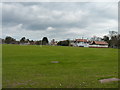 University playing fields