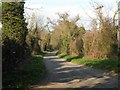 Part of Mill Lane, heading towards Pakenham