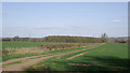 Farmland north of Badger, Shropshire