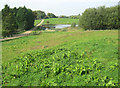 Pond near Home Farm